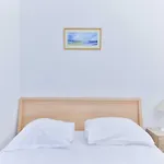 Bright, Modern Apartment- 14 Arrd- Mobility Lease